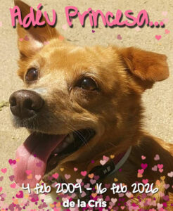 GP190 PRINCESA de @gossosdelputxet