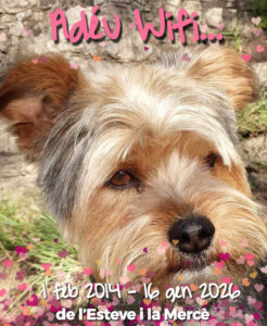 GP245 WIFI de @gossosdelputxet