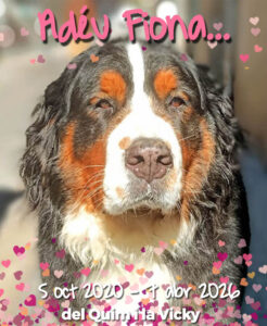 GP580 FIONA de @gossosdelputxet